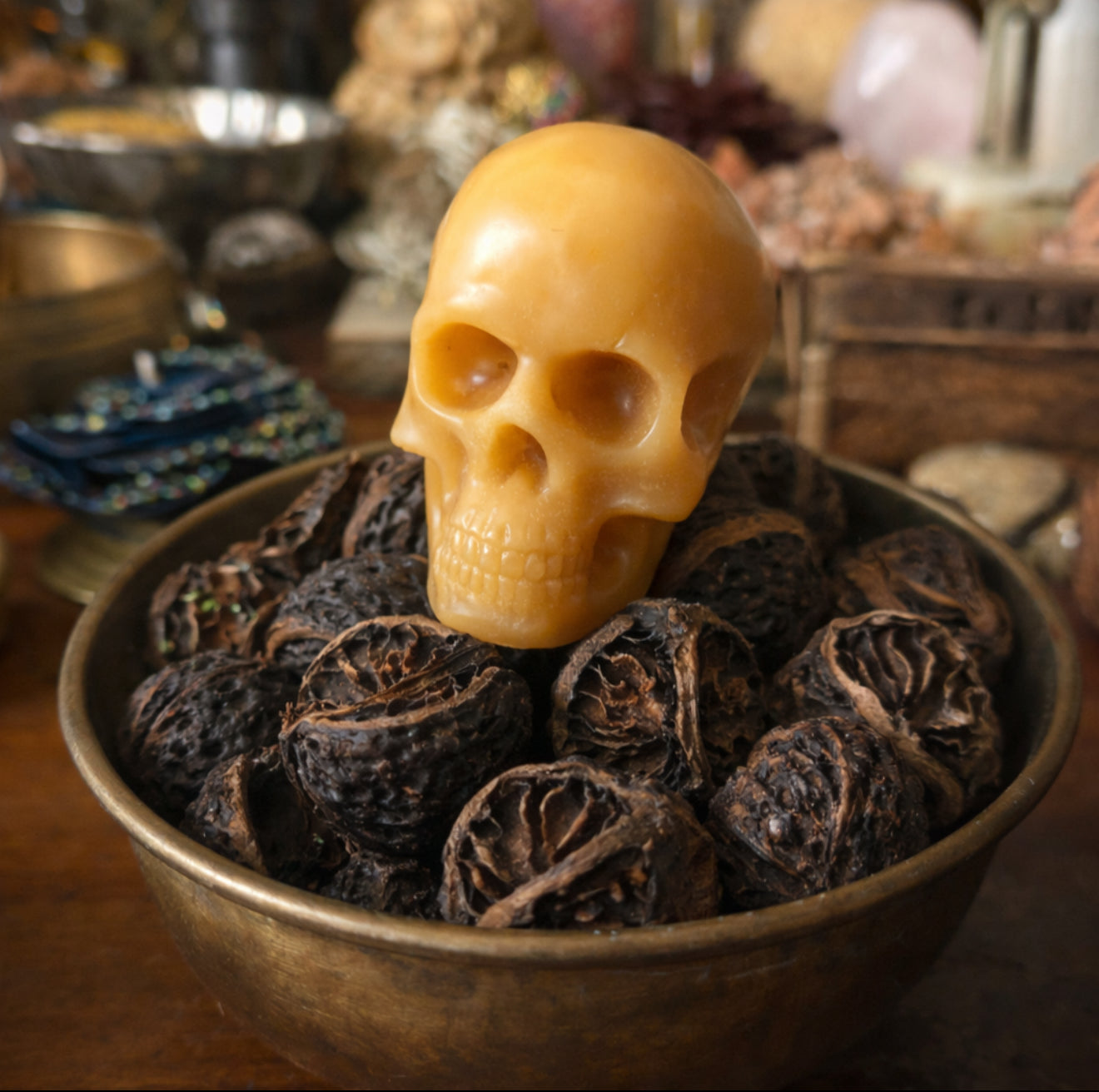 Black Walnut Skull Wax Melt