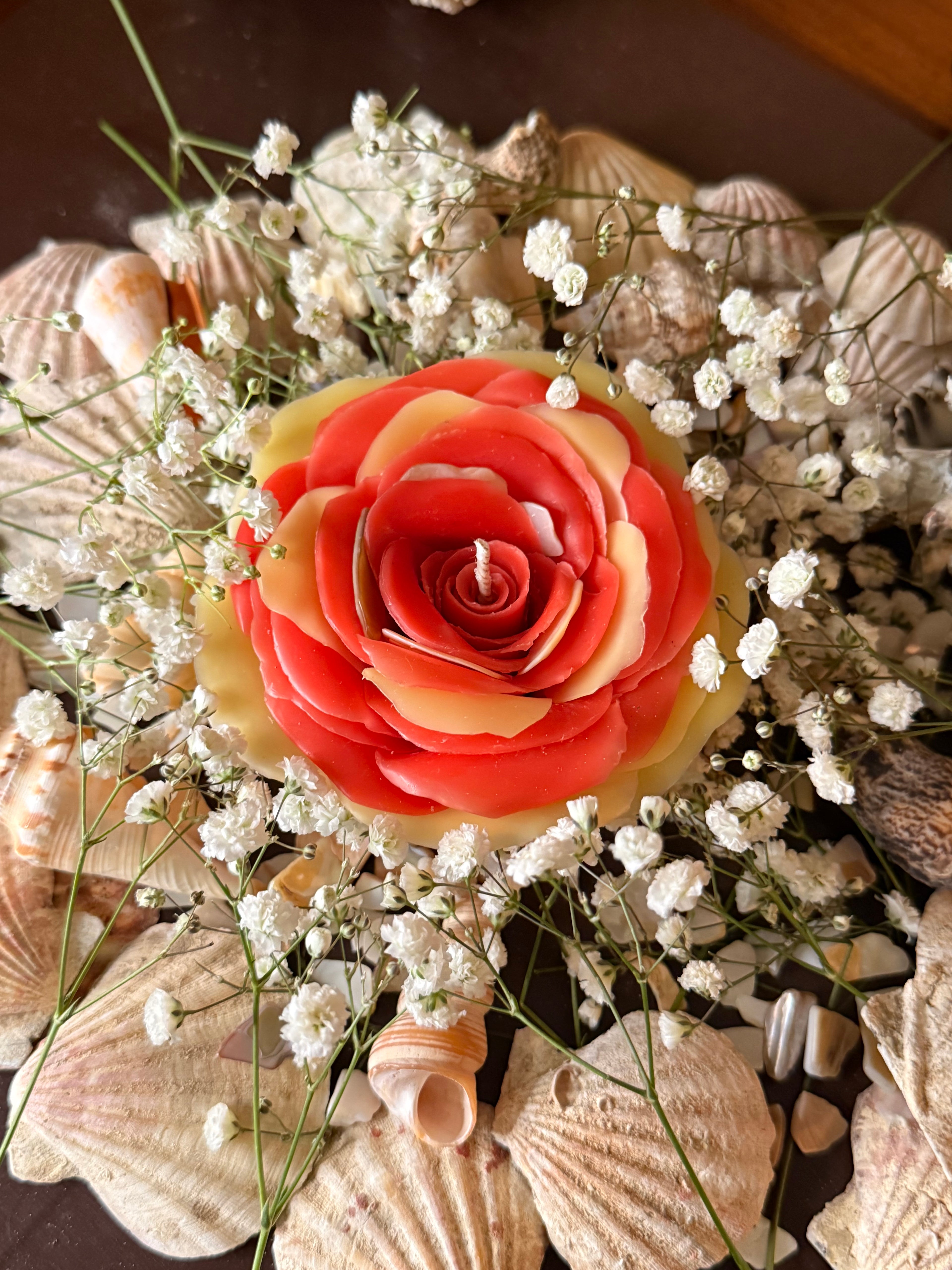 Aphrodite Mother of Pearl Altar Rose