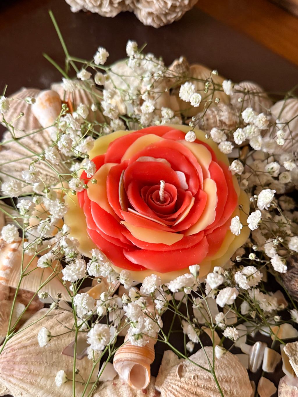 Aphrodite Mother of Pearl Altar Rose