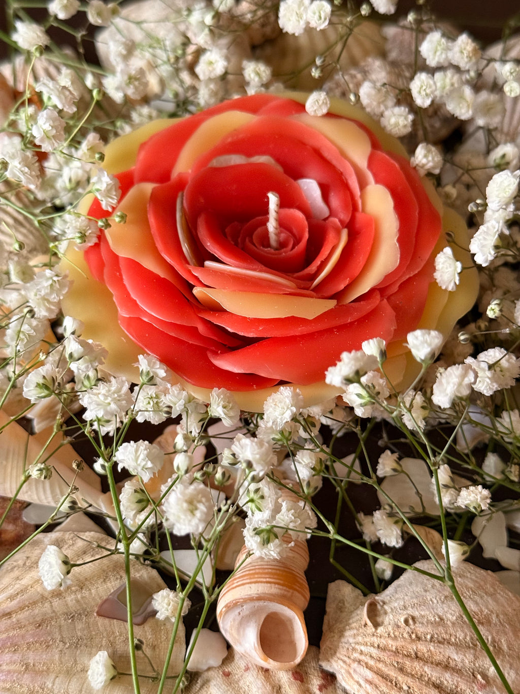 Aphrodite Mother of Pearl Altar Rose