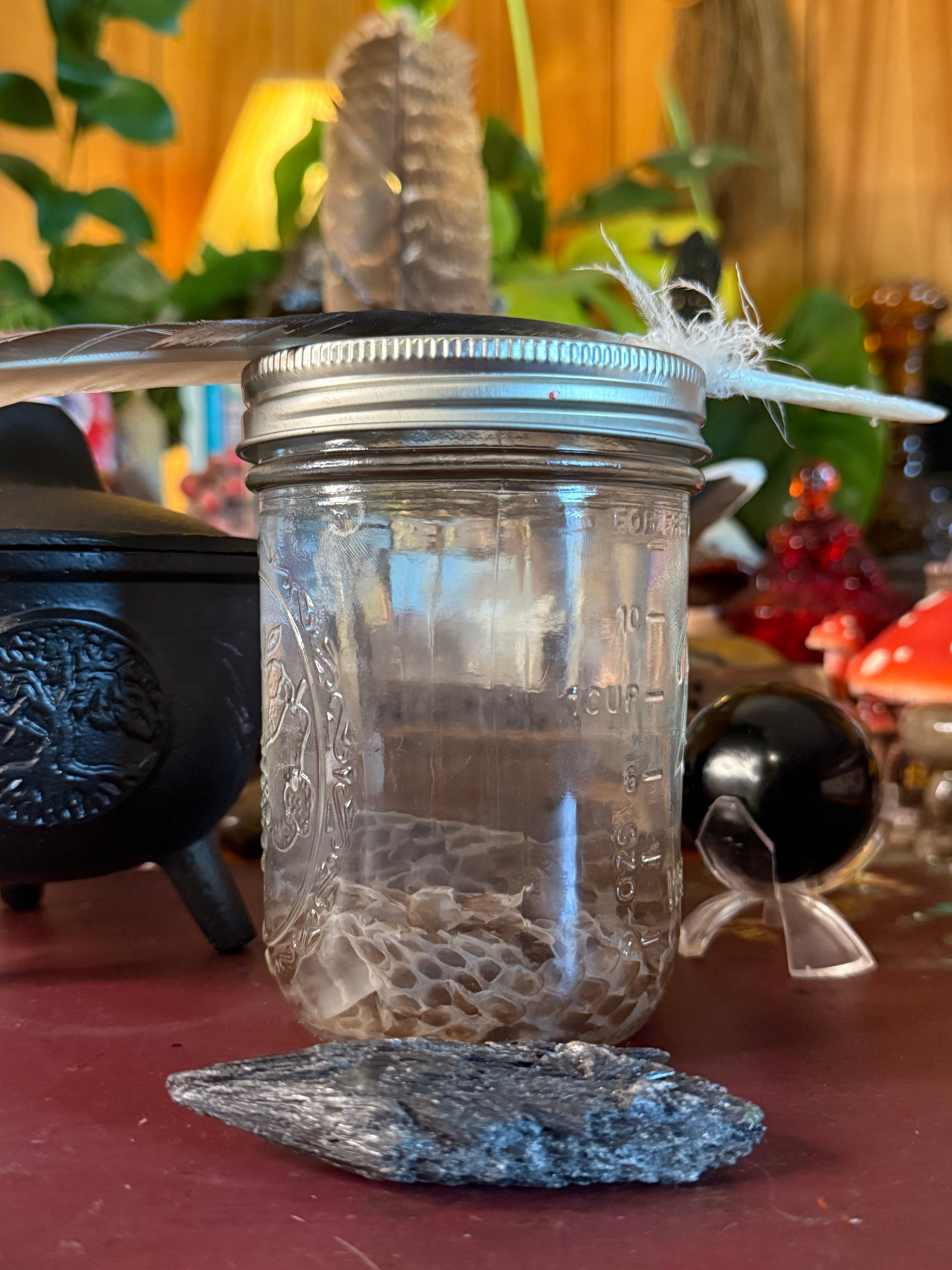 King Snake Scale War Water Mid Level