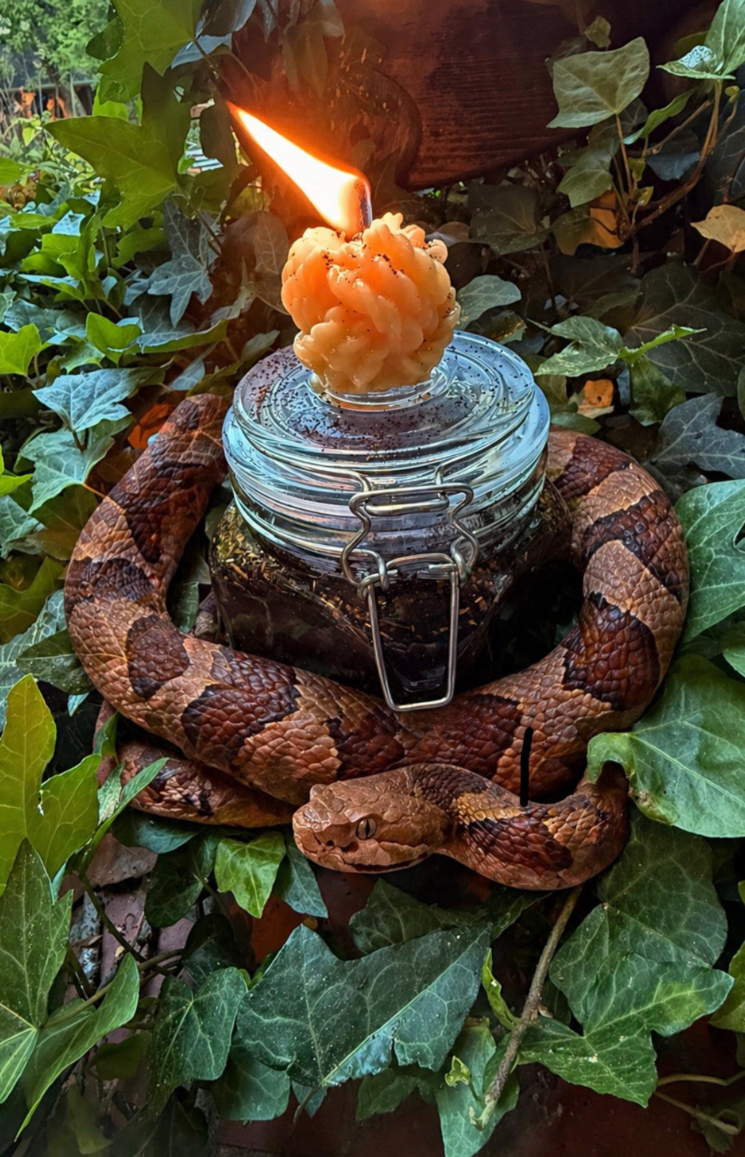 Pre-Order- COPPERHEAD Ritual Candle Oil (Available 5/28/26)