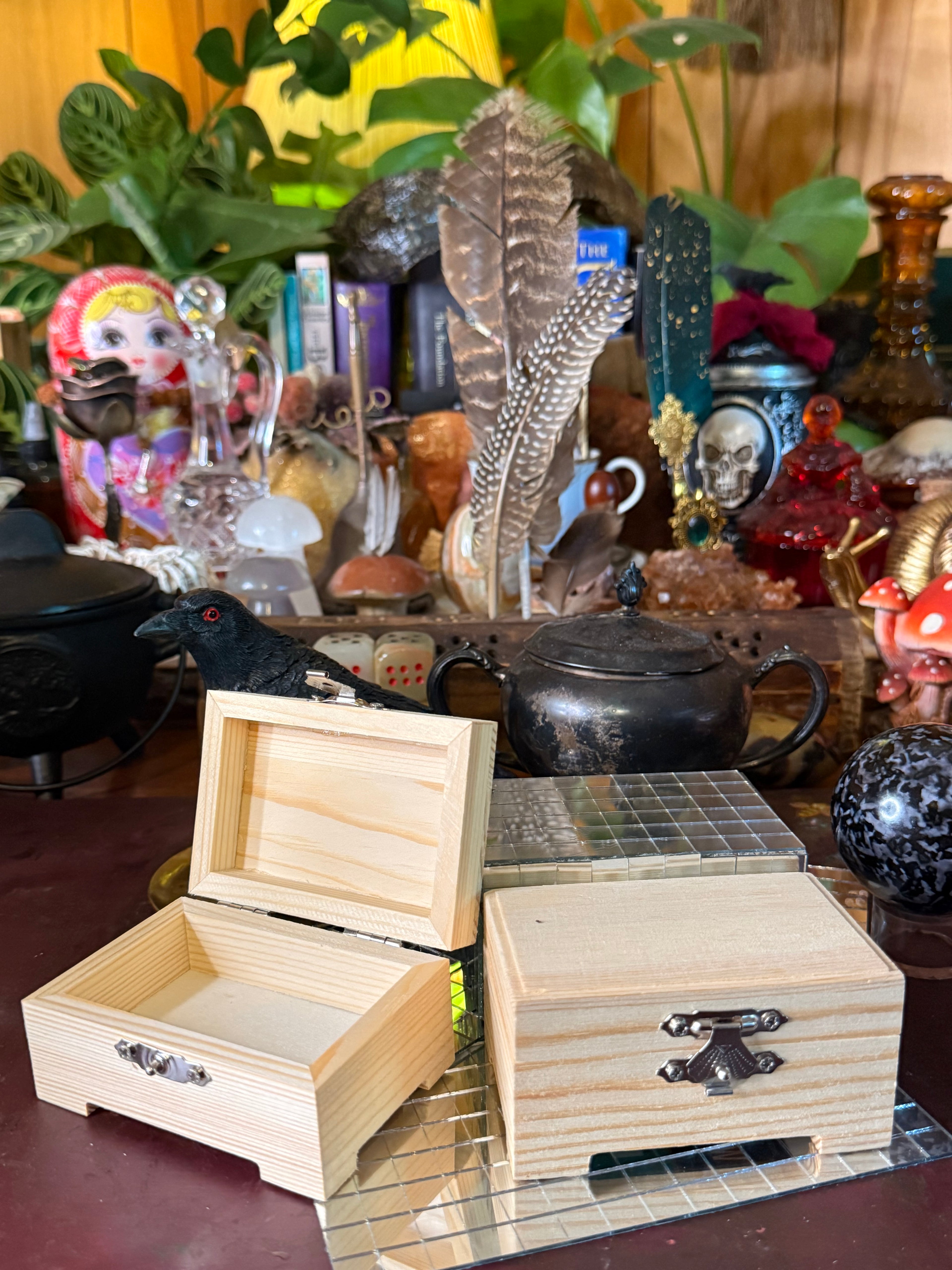 Mirror box for personal Protection